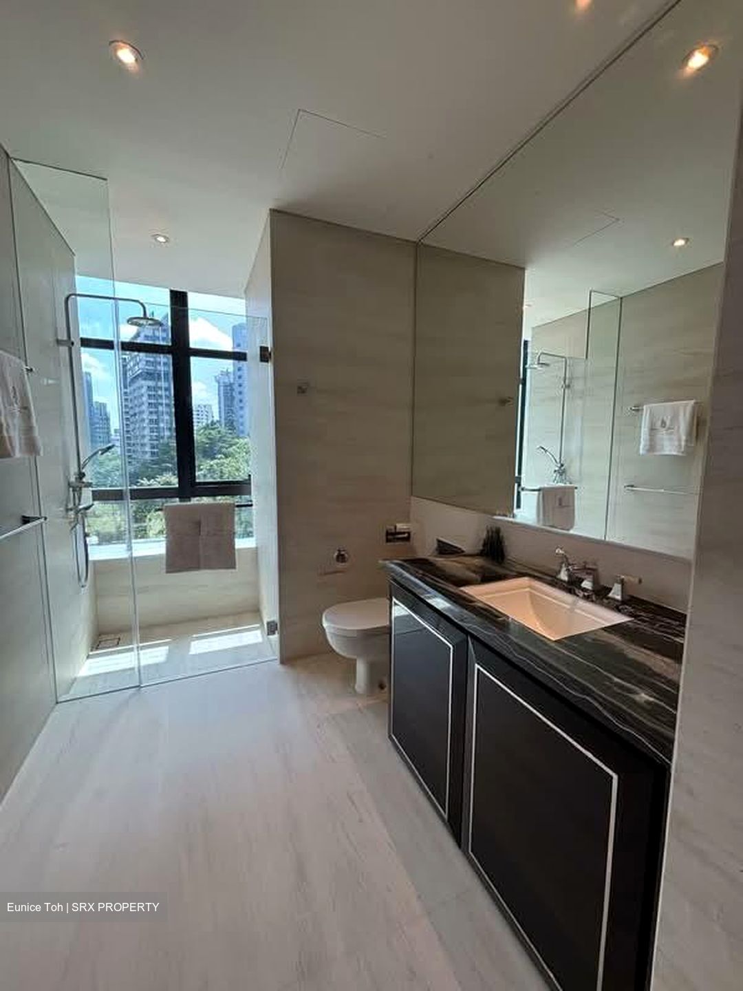 The Ritz-Carlton  (D9), Condominium #540190781